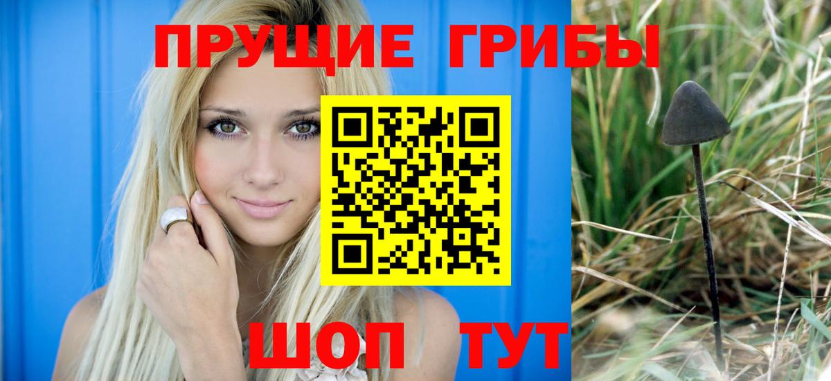 Псилоцибиновые грибы Magic Shrooms  Вход с VPN  Сегежа 